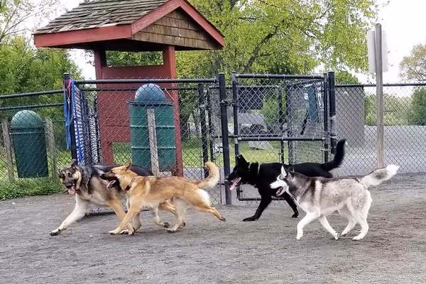 Manassas Park Dog Park photo 1